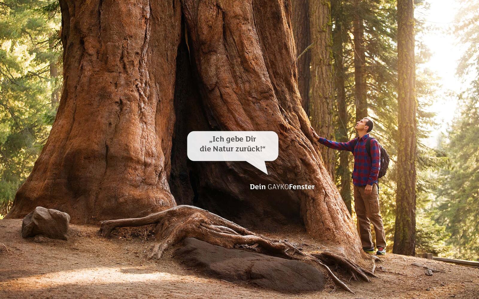 Woodline